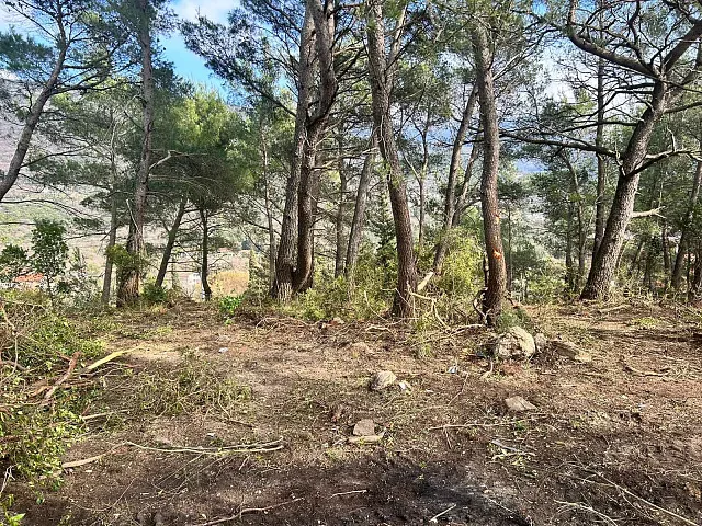Urbanized Land Plot with Sea View in Tivat – Mrčevac, 1602 m² — photo 5